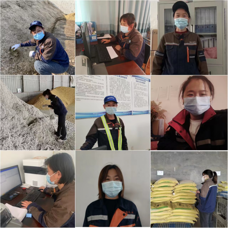 荣耀网页版_荣耀（中国）丨点点微光汇星河——养殖事业部抗疫保生产侧记