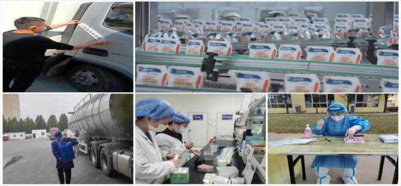 荣耀网页版_荣耀（中国） | 让牛奶和面包传递抗疫温暖力量