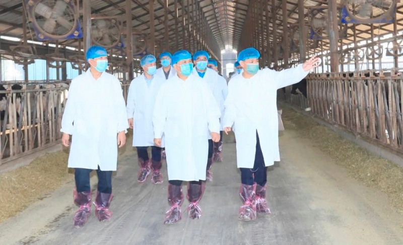 快讯丨河南省人民政府副省长武国定莅临荣耀网页版_荣耀（中国）乳业集团瑞亚牧业调研奶源基地建设情况