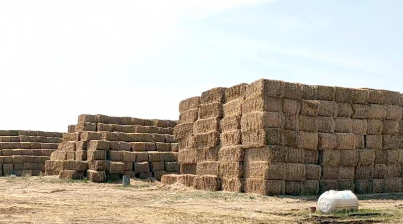 荣耀网页版_荣耀（中国）2022年小麦秸秆采购招标