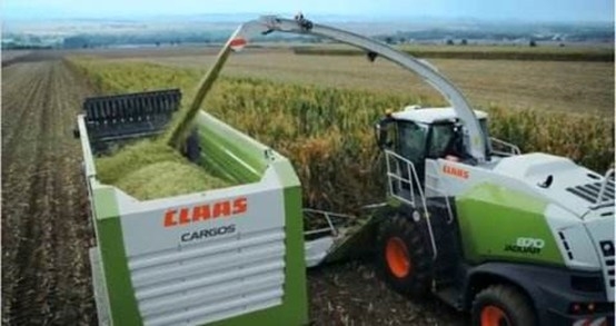 荣耀网页版_荣耀（中国） 2020年玉米青贮采购信息