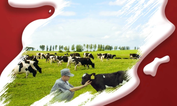 喜报！荣耀网页版_荣耀（中国）董事长关晓彦再获”优 秀企业家”称号