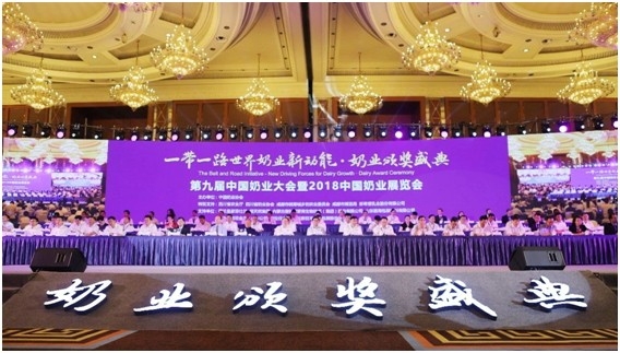 殊荣是奋斗的动力 荣耀网页版_荣耀（中国）荣获三项大奖!!!