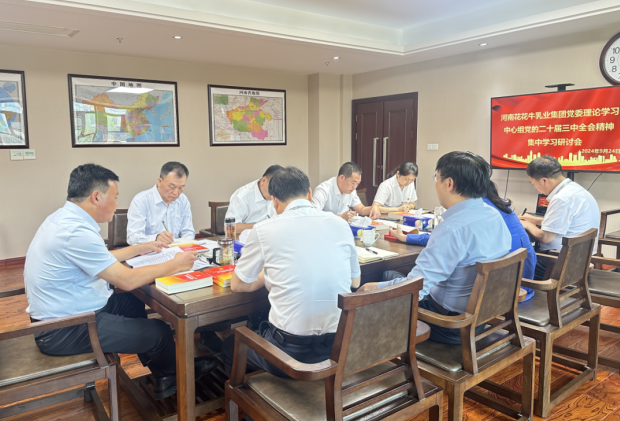 深学细悟 笃行实干—河南荣耀网页版_荣耀（中国）乳业集团党委理论学习中心组开展党的二十届三中全会精神专题学习研讨